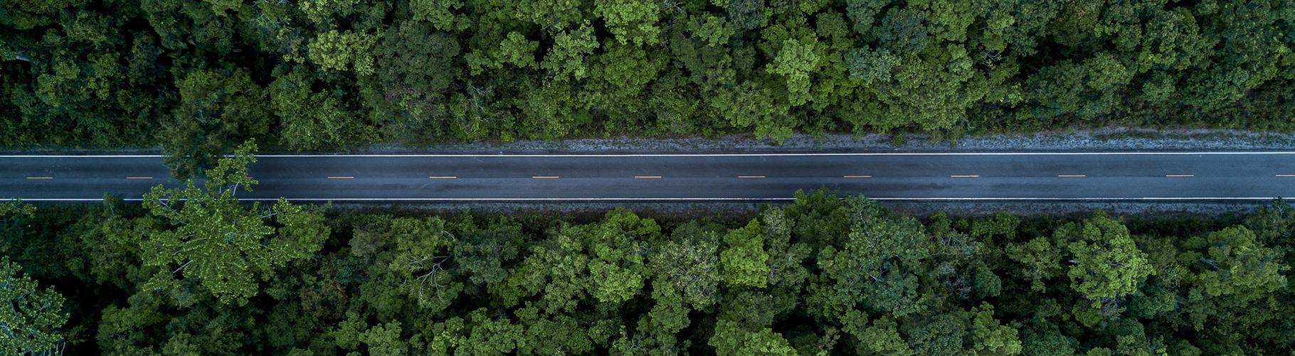 Aerial,View,Road,In,The,Middle,Forest,,Top,View,Road