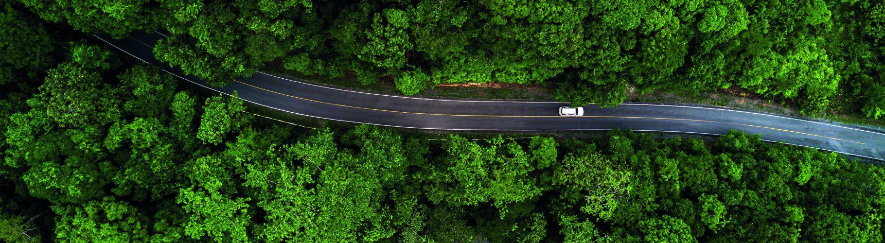Aerial,View,Asphalt,Road,And,Green,Forest,,Forest,Road,Going